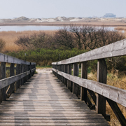 DDOS压力测试网页端