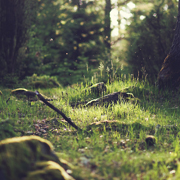 正版授权码的网页DDOS攻击平台