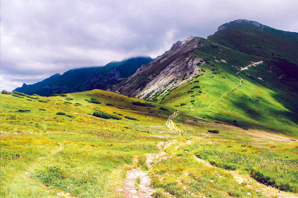 ddos压力测试平台